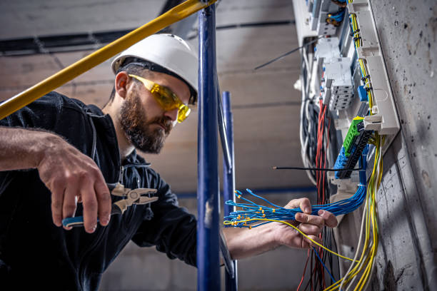 Best Electrician for Home Renovation  in Orland Hls, IL
